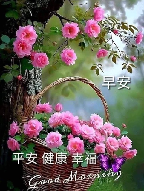 按我可連結至更清楚的圖片